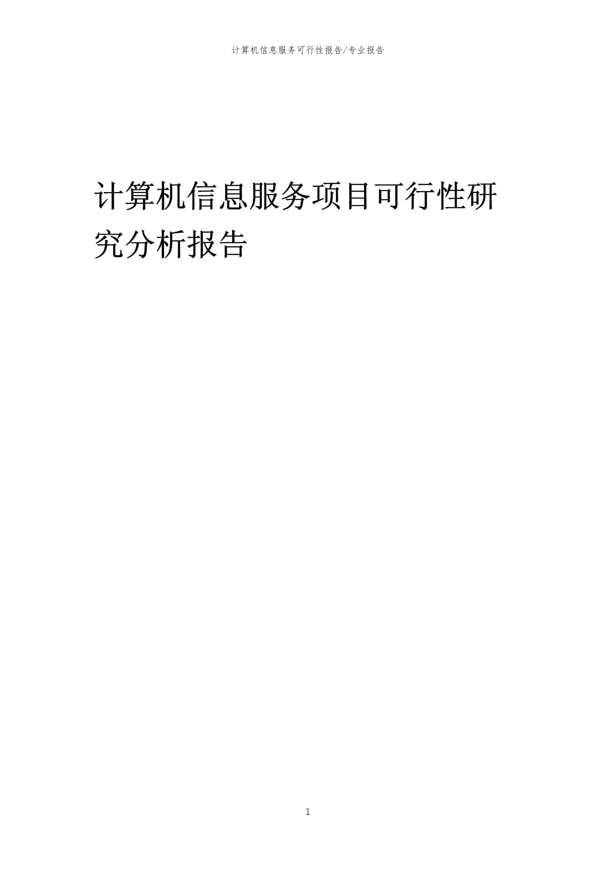 【可行性报告】2023年计算机信息服务项目可行性研究分析报告